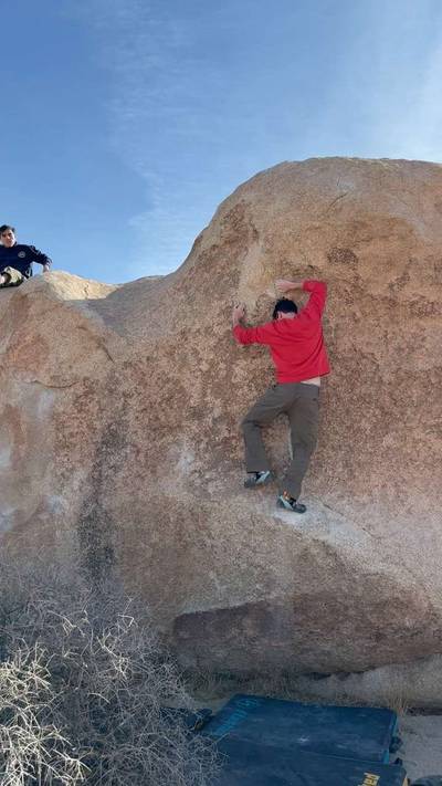 Undertow v3, Joshua Tree - Beta Video from aviv