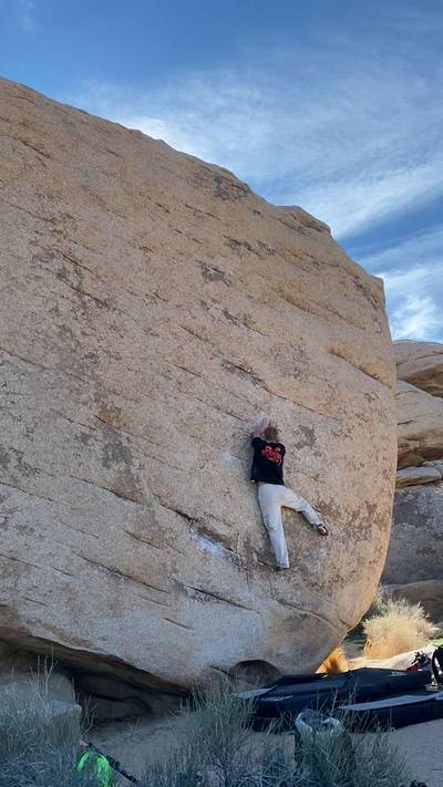 Slashface v3, Joshua Tree - Beta Video from ZackaryH