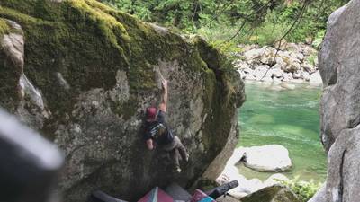 Flower v7, Index - Beta Video from TBrannen