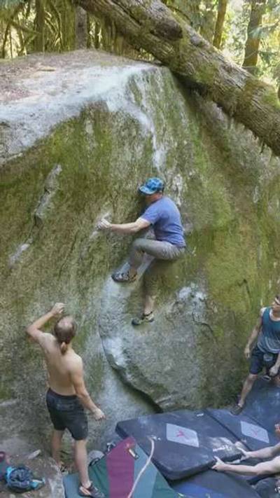 Yin Yang v7, Index - Beta Video from TBrannen