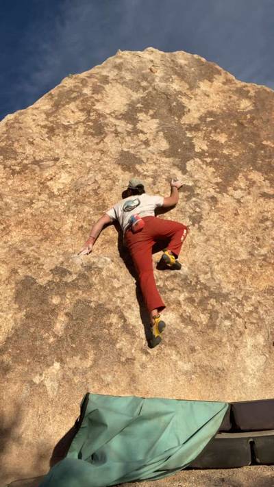 Turtle Face Center v2, Joshua Tree - Beta Video from rh0bot