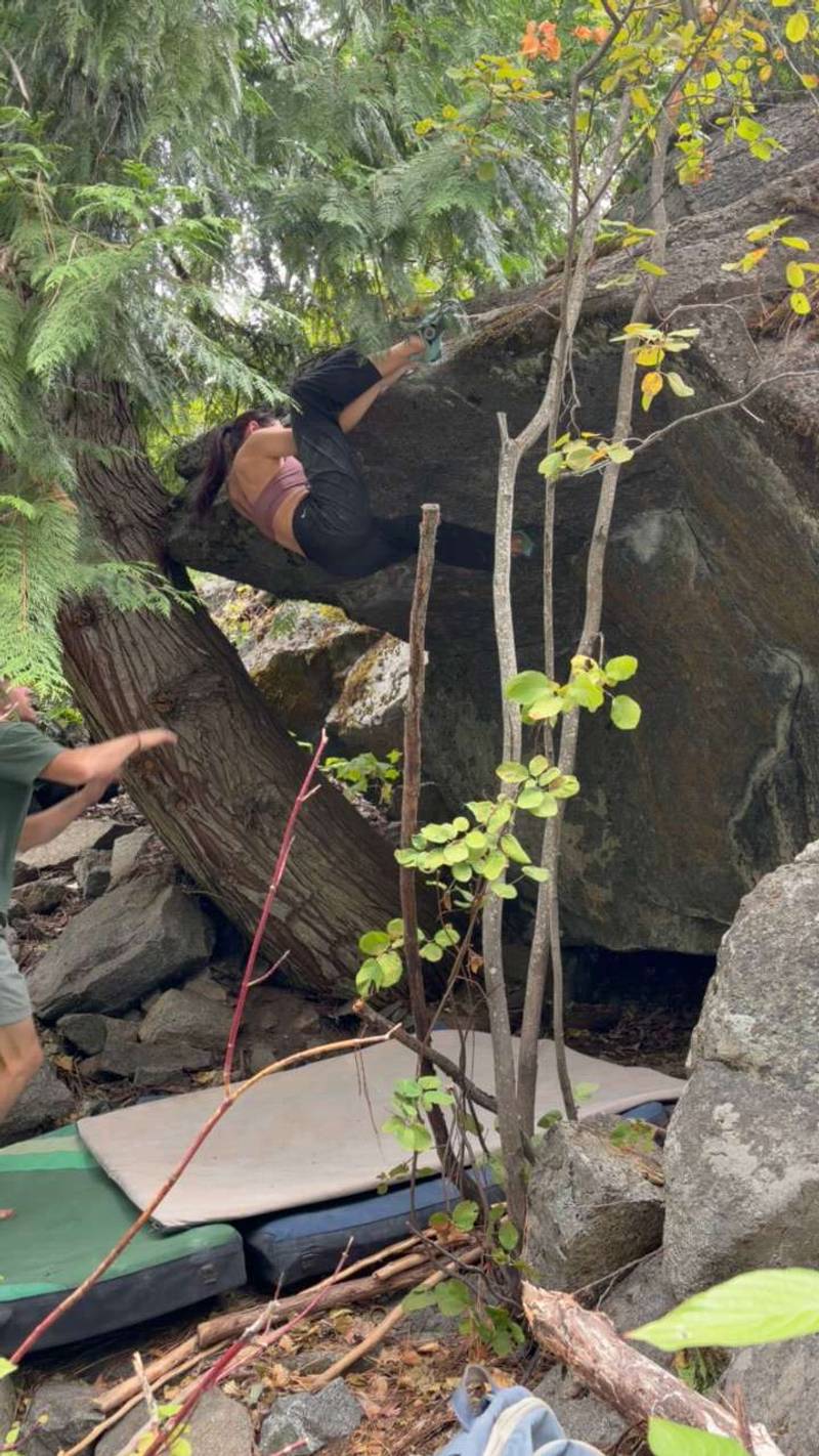 Hoofmaker v6, Leavenworth - Beta Video from pitachip