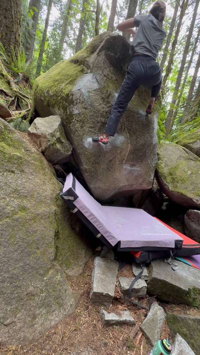 The Undergrad v6, Index - Beta Video from gabbi