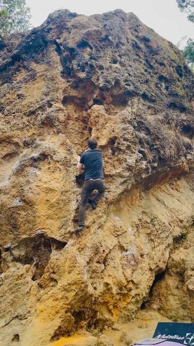 Bucket Prow vB, Berkeley - Beta Video from oakbri