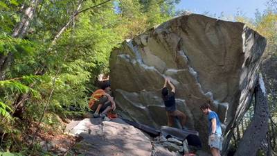 Obesity v7, Gold Bar - Beta Video from mlo