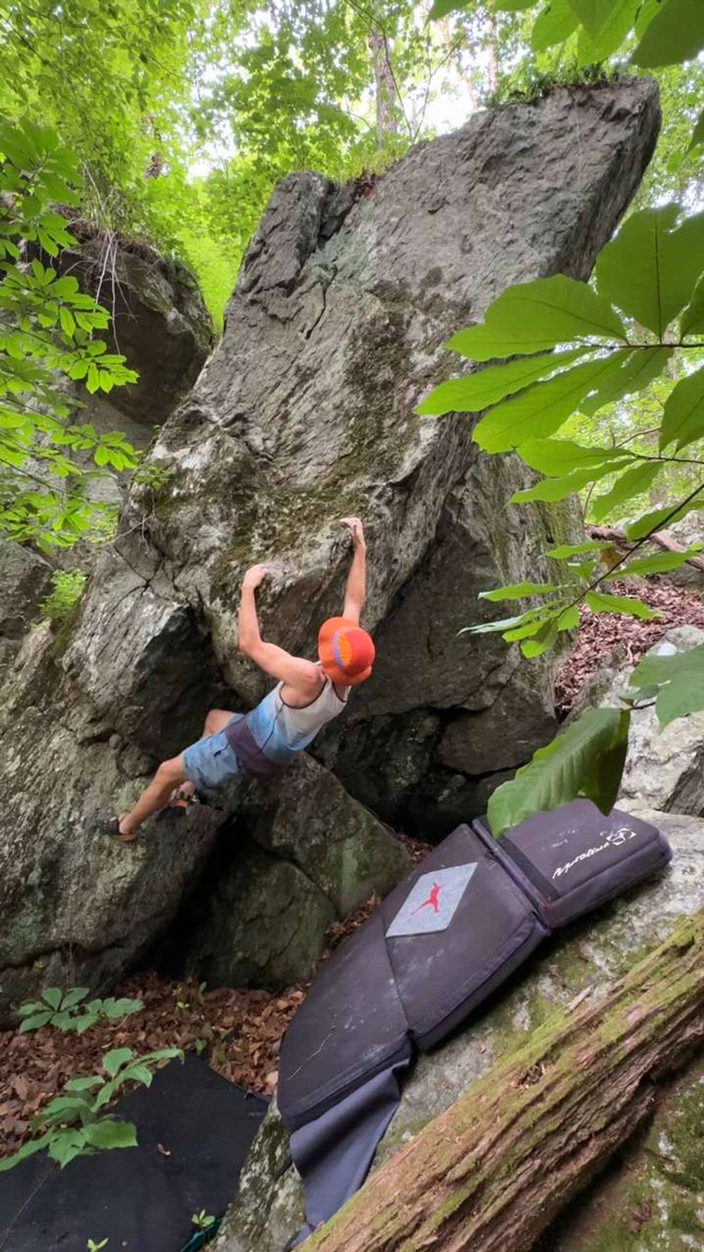 Horse & Buggy v3, Great Falls - Beta Video from Skyler_Stasiewicz