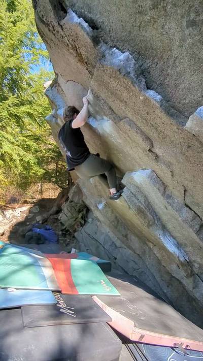 Obesity v7, Gold Bar - Beta Video from Whooper