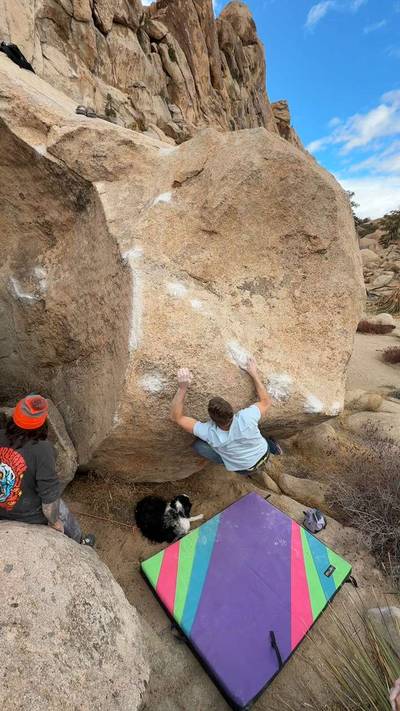 Misty Mountain v5, Joshua Tree - Beta Video from Baileybeluga