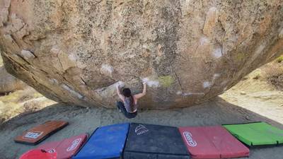Smooth Shrimp v6, Bishop - Beta Video from Qiaodada