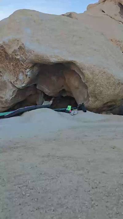 Yogi Variation v8, Joshua Tree - Beta Video from flu.tru