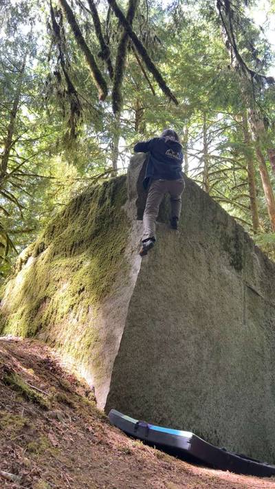 Cheek Arete v1, Index - Beta Video from pnw.cat