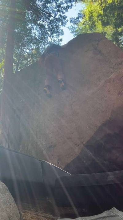 Running of the Bulls v0, Calabogie - Beta Video from LouisPcan