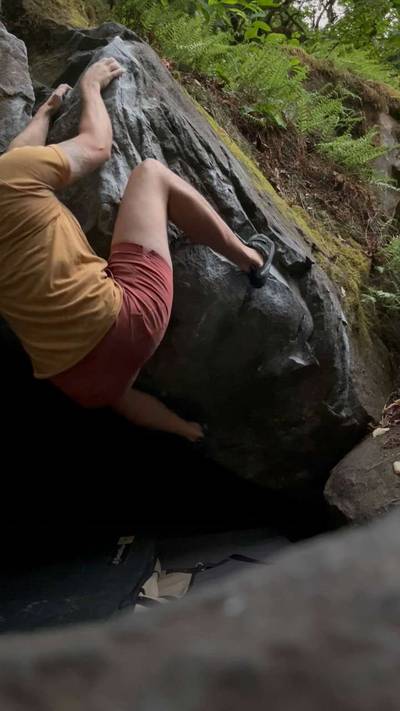 Carver Classic v4, Carver - Beta Video from Lyra