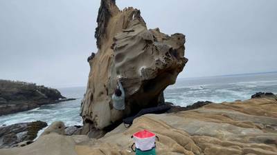 Triceratops v4, Salt Point - Beta Video from billykeyss