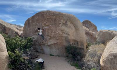 Satellite Left v3, Joshua Tree - Beta Video from tianzong