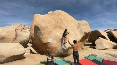 Stem Gem v4, Joshua Tree - Beta Video from roseyallday