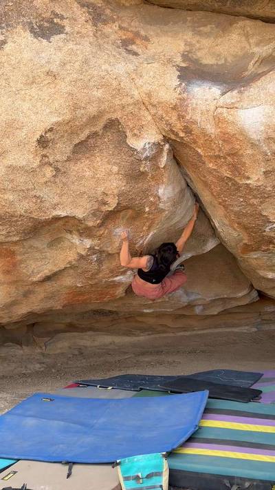 Perpetual Darkness v10, Joshua Tree - Beta Video from sheneenagins