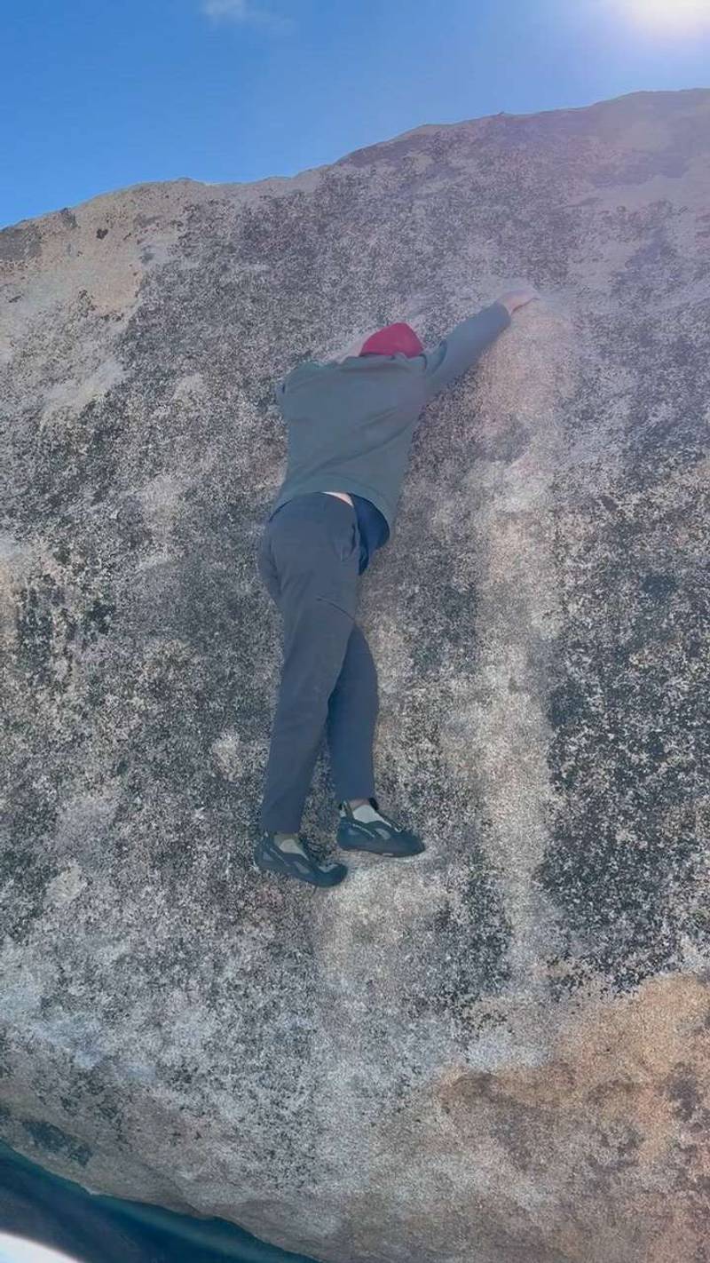 Joker v1, Joshua Tree - Beta Video from aviv