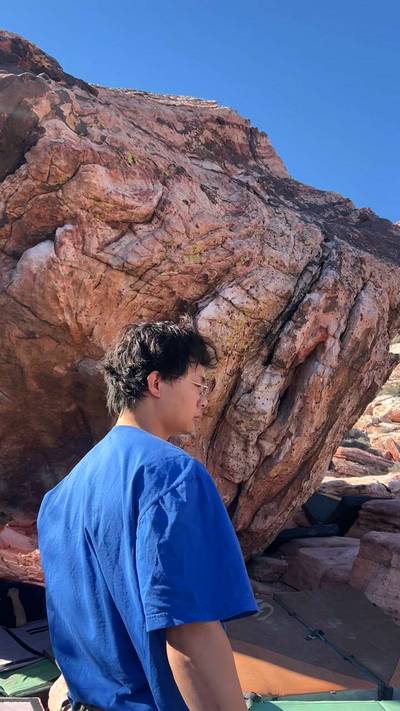 Spring Board v3, Red Rock - Beta Video from liftingwithlia
