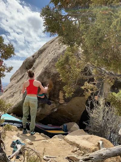 Pitbull v6, Joe's Valley - Beta Video from rose.beta