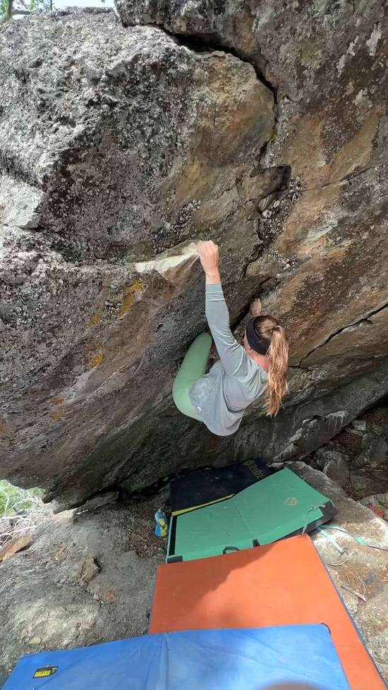 Rocky Mountain Wildflowers v2, Canmore & Kananaskis - Beta Video from stefK