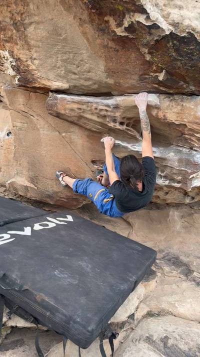 March of the Turtles v1, Moe's Valley - Beta Video from mckinleyav
