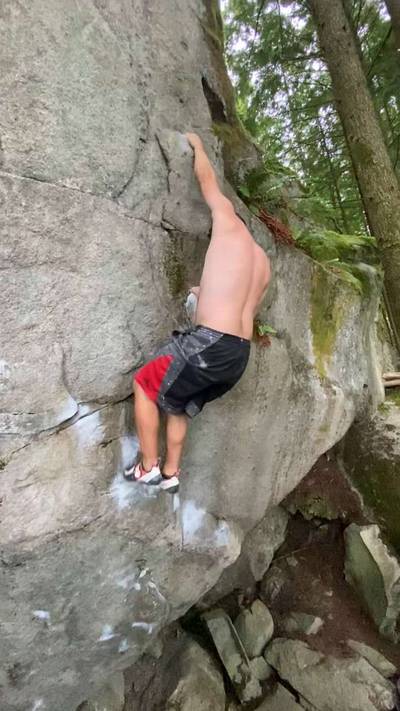Fern Crack v3, Gold Bar - Beta Video from swayne