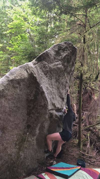 Cat Fight v2, Squamish - Beta Video from allieh