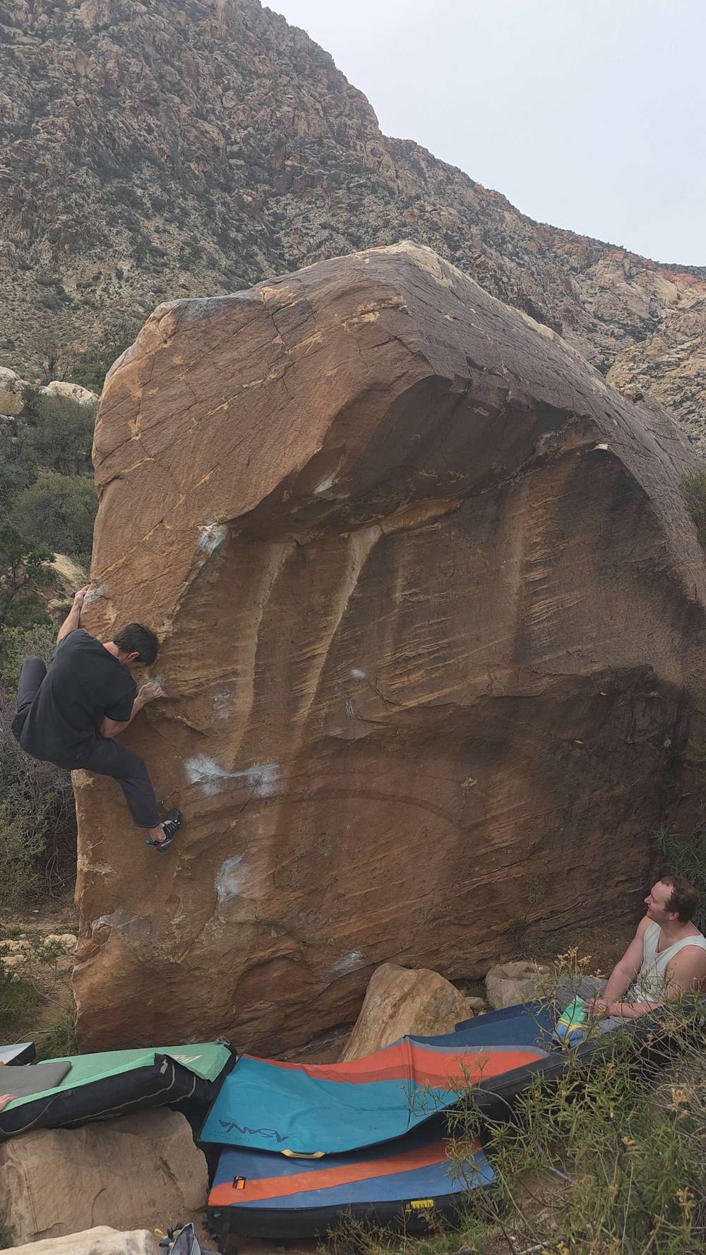 Le Cheval Sit v6, Red Rock - Beta Video from TinyDynos