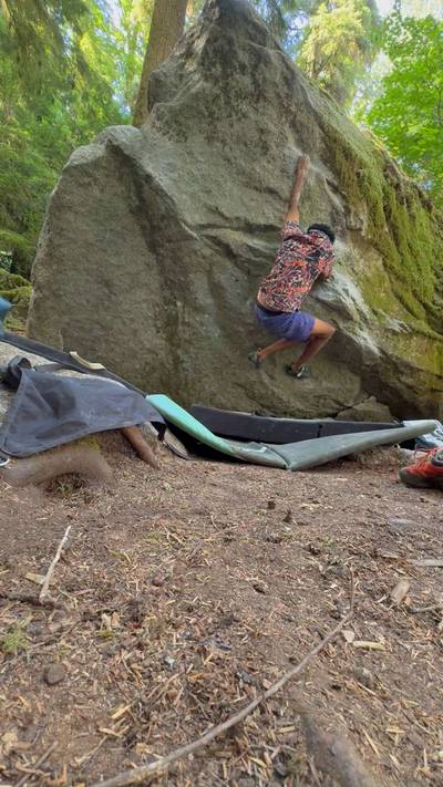Cat Fight v2, Squamish - Beta Video from addddittt