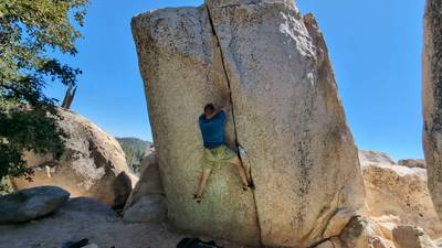 Thin Crack v0, Horse Flats - Beta Video from meez