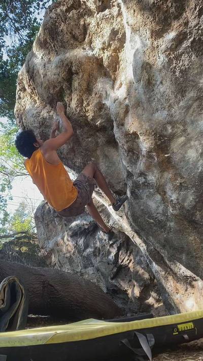 Moonshine v7, Berkeley - Beta Video from addddittt