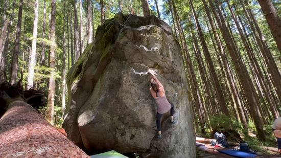 Shelf Life v4, North Bend - Beta Video from Rachel.Kause