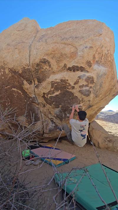 Strawberry Contraceptives v7, Joshua Tree - Beta Video from flu.tru