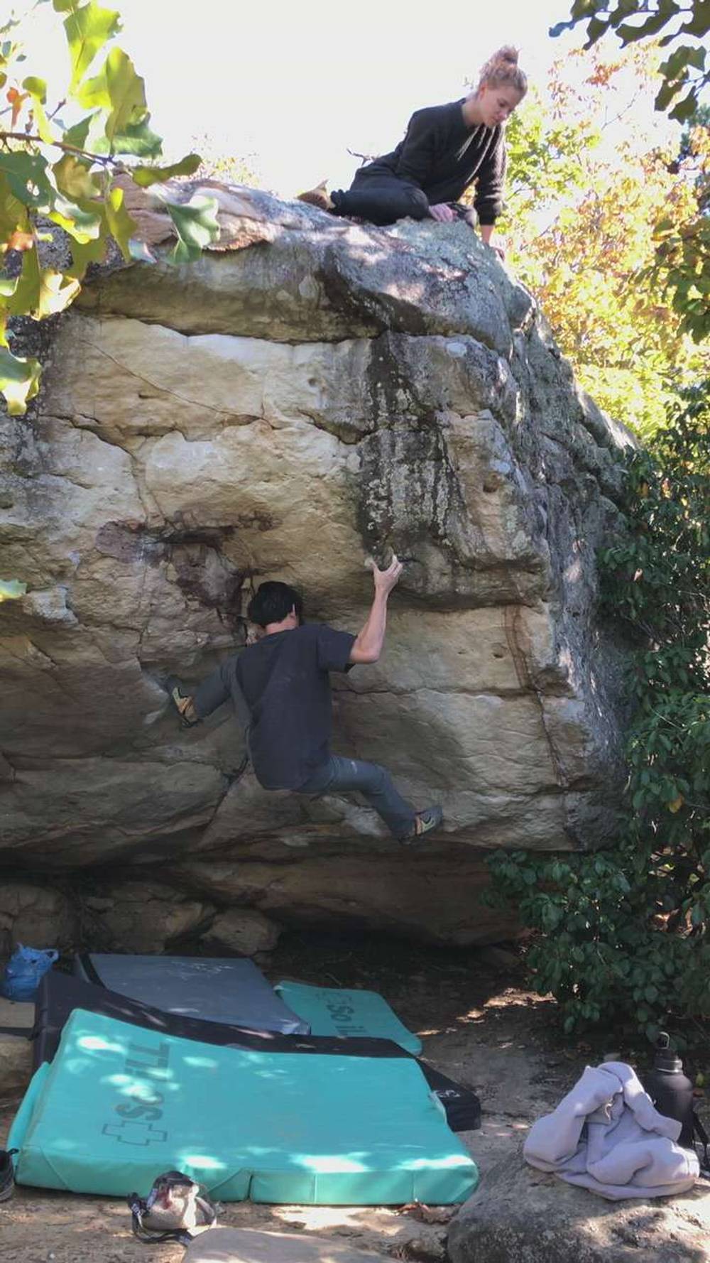 Missing the Point v7, Horse Pens 40 - Beta Video from blend.set