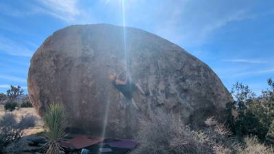 Fry Problem v3, Joshua Tree - Beta Video from jay.jillard