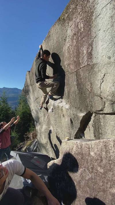 Obesity Direct v8, Gold Bar - Beta Video from Jumpei