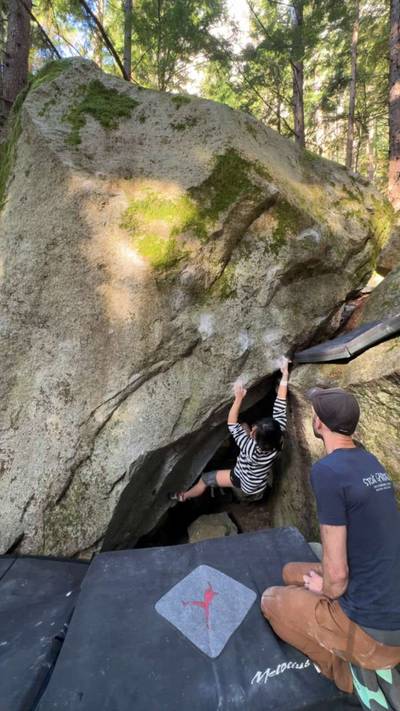 Mosquito Incubator v8, Squamish - Beta Video from junran