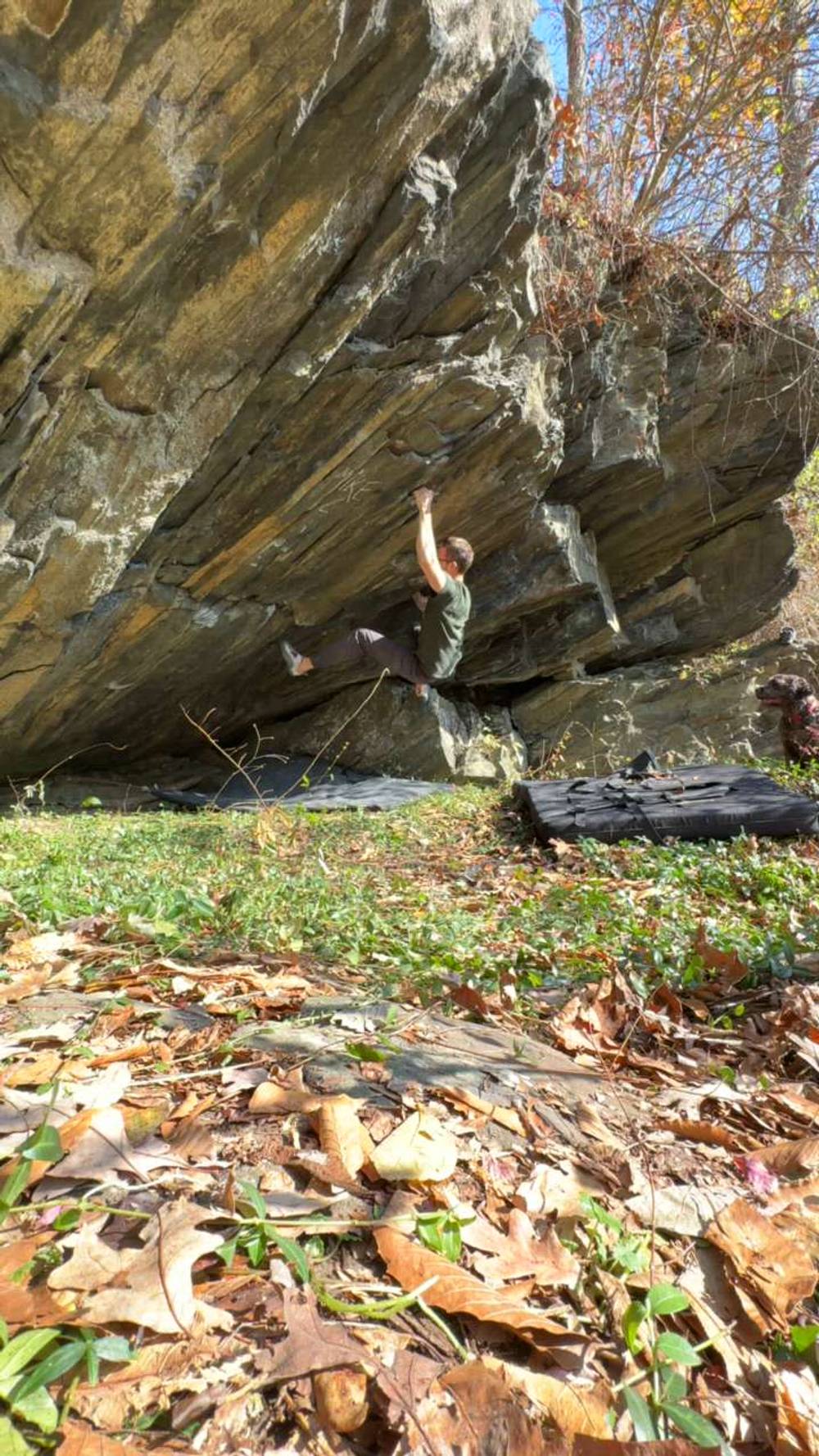 Shelob's Lair v2, Gunpowder Falls - Beta Video from Theitmann