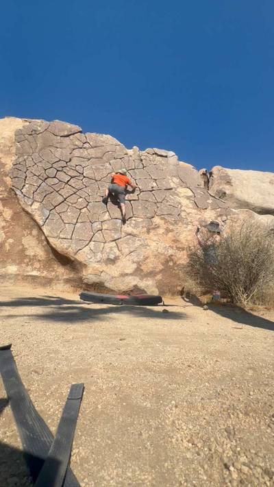 Dragon Scales vB, Joshua Tree - Beta Video from wallflailer