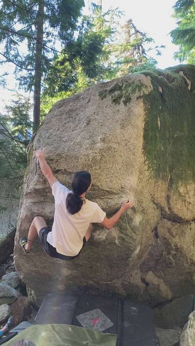 The Bee Professor v9, Squamish - Beta Video from seanvanderluit