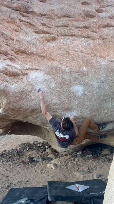 Raspberry v6, Joshua Tree - Beta Video from LetsMakeBelieve