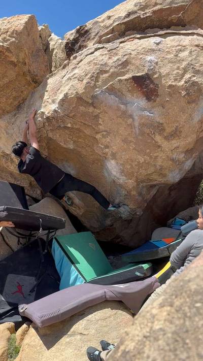 Turtle v6, Joshua Tree - Beta Video from j.k0000