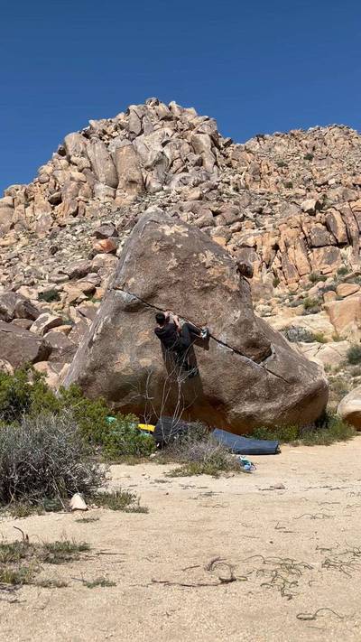 Swinging Richard v4, Joshua Tree - Beta Video from j.k0000