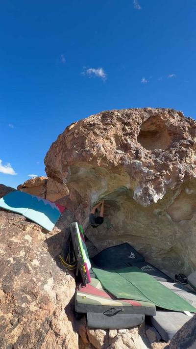 Feeding Frenzy v7, Bishop - Beta Video from wqfish