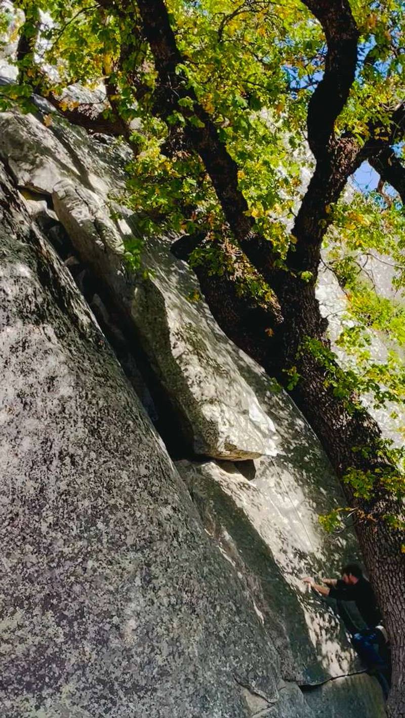 Oak Tree Flake 5.5, Yosemite Valley - Beta Video from oakbri