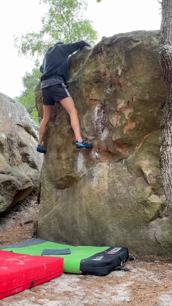 Potage assis v3, Fontainebleau - Beta Video from nutelluca