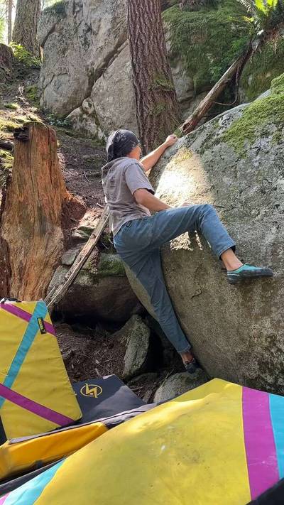 Painted Spoodle v5, Vancouver - Beta Video from nicrusdesu