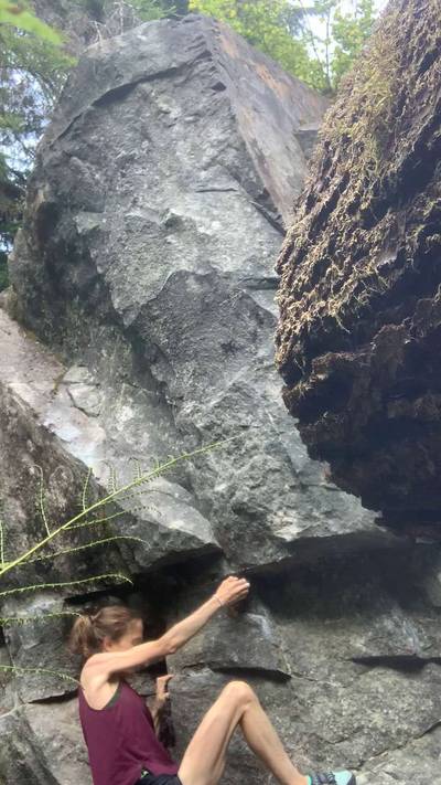 Swamp Thing v6, Miller River - Beta Video from nicolemaksi