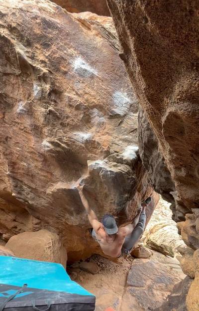 Petri Dish v6, Moe's Valley - Beta Video from Landon_Schoenmann